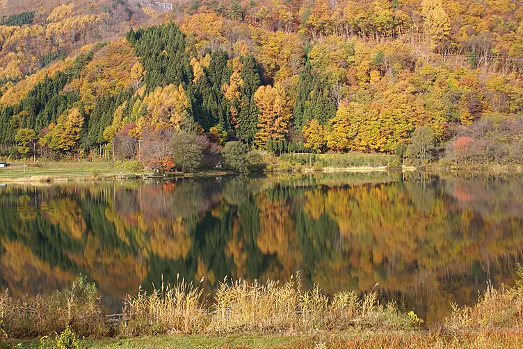 秋の中綱湖