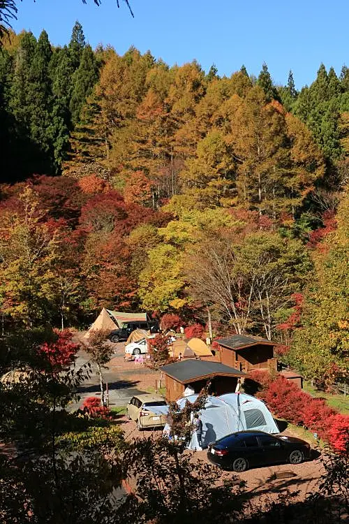秋のキャンプ場