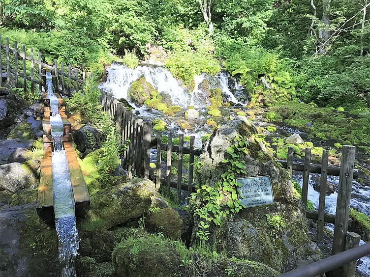 湧き水の流れる公園
