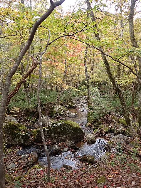 秋の源流部