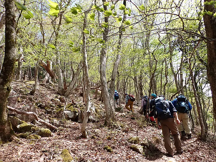 天狗堂の登山エコツアー