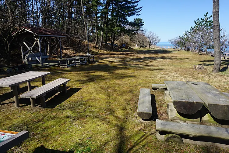 キャンプエリア