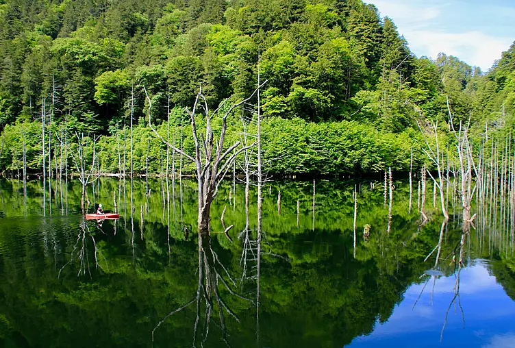 自然湖に浮かぶカヌー