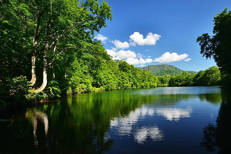 ブナの森に囲まれた池