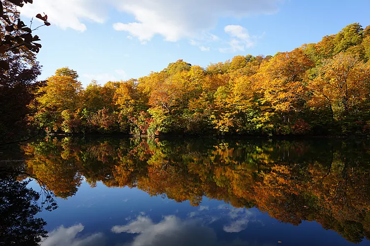 紅葉に染まる鎌池