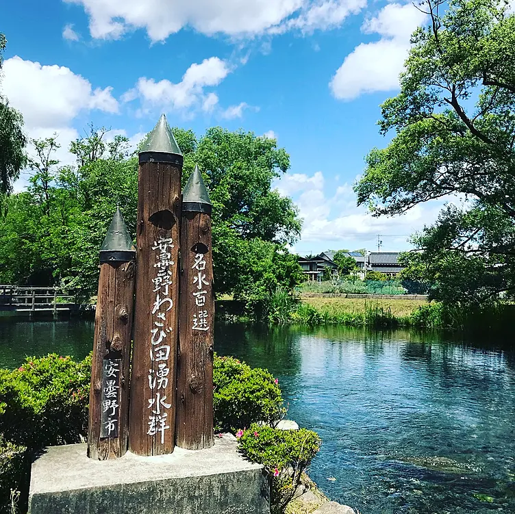名水百選に選ばれた安曇野わさび田の湧水群