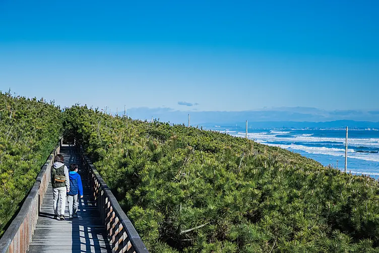 海岸沿いを歩く親子