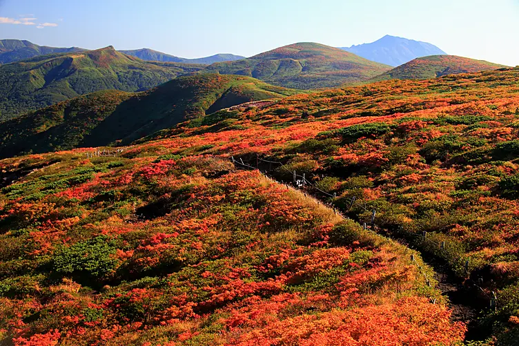 紅葉の山