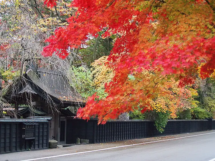 紅葉と武家屋敷