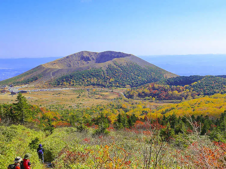 紅葉した火口のある山