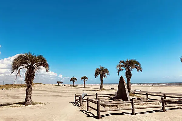 砂浜とヤシの木