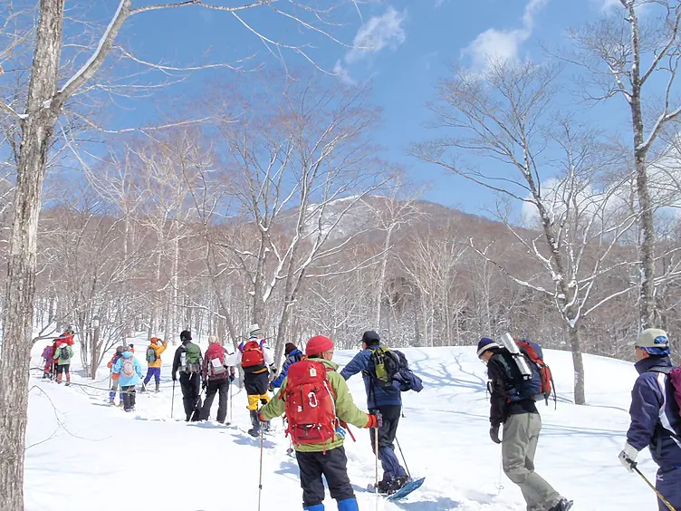 雪原をスノーシューで歩く様子