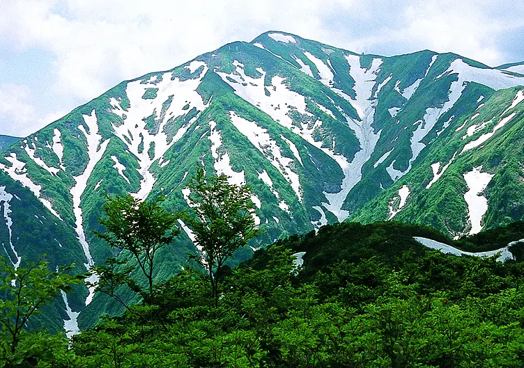 残雪と新緑の山