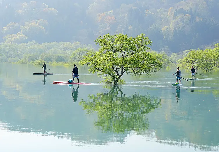林が水没した様子