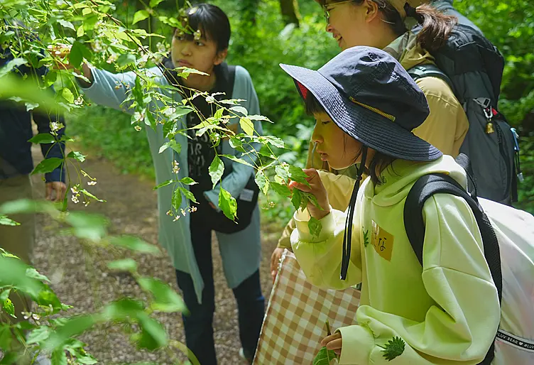植物を観察する子ども