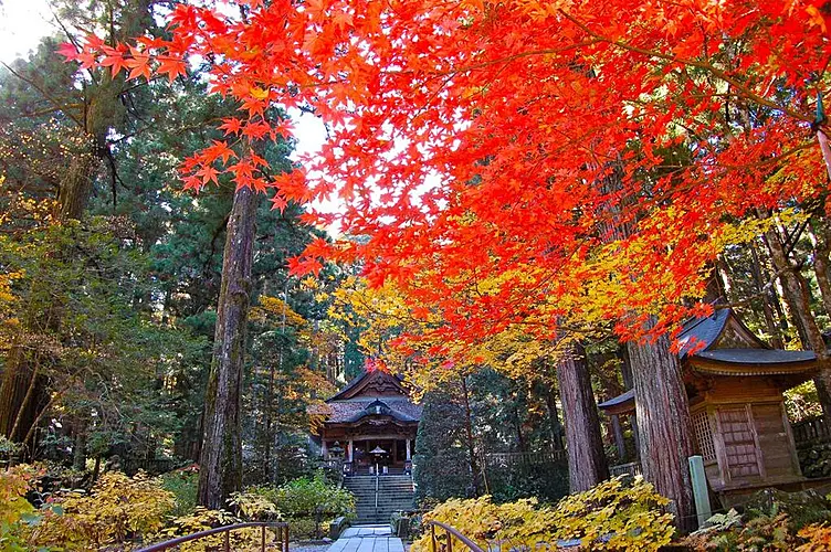 神社と紅葉