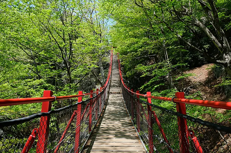 新緑にかかる赤い吊り橋