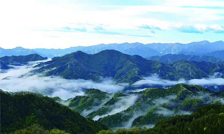 雲海と山々