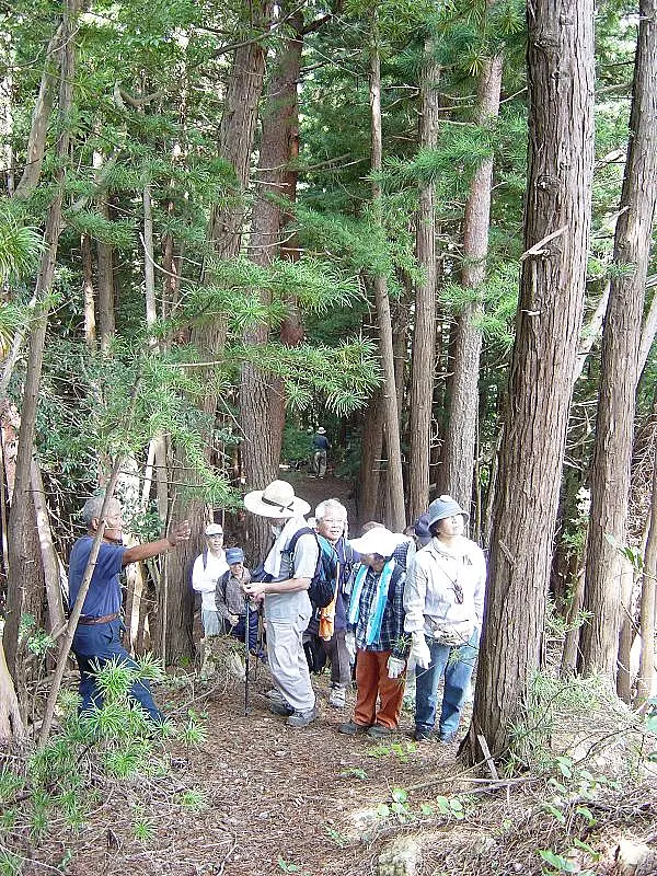 ガイドが案内をしている