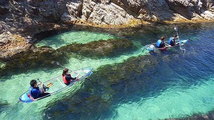 海岸沿いでカヤックを漕ぐ