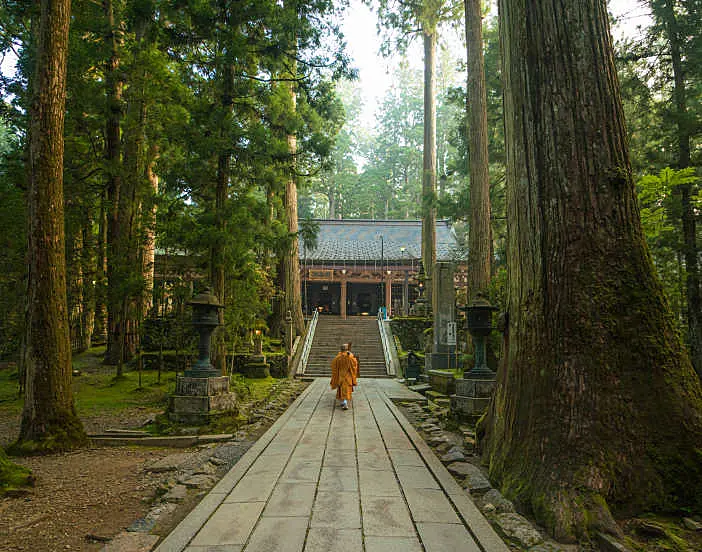 高野山奥の院への参道の石畳を、茶色の法衣をきた僧侶が歩いている