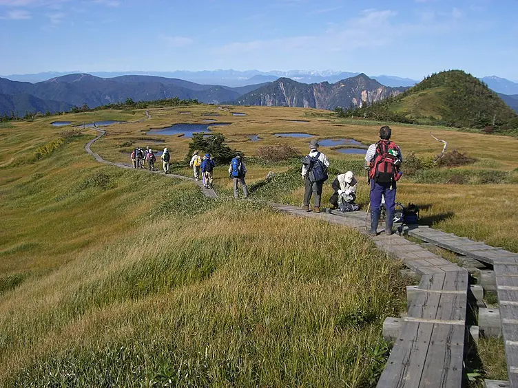 山頂に広がる高層湿原