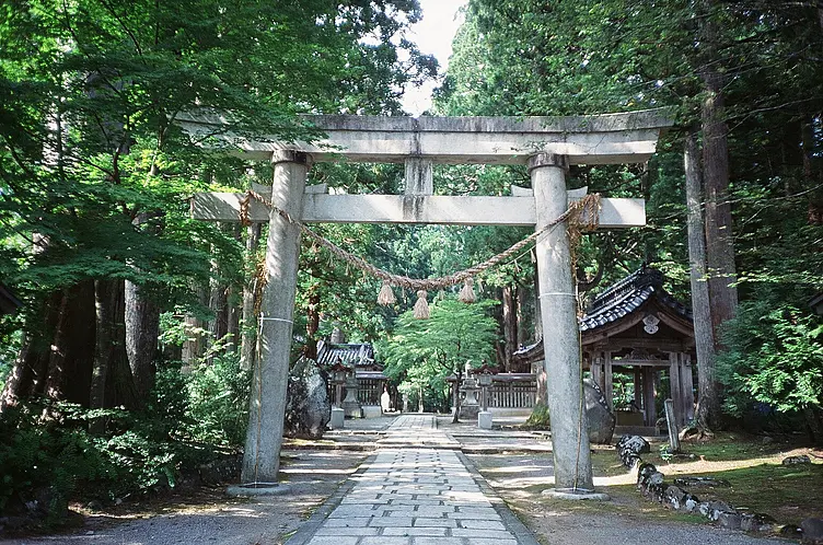 新緑の中の荘厳な鳥居