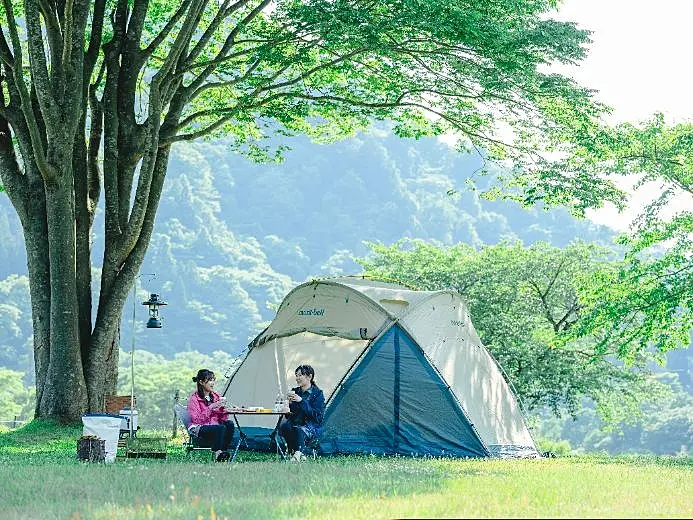 2人の女性が木陰でキャンプを楽しんでいる