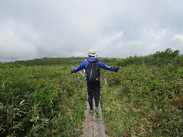 湿原の木道を歩く人