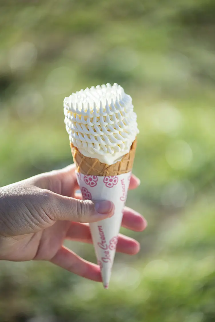 ついんスターの芸術ソフト