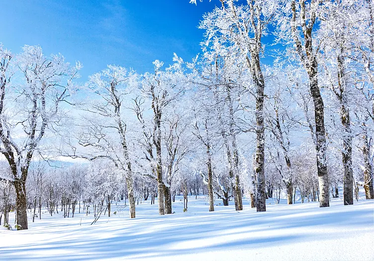 三ノ丸　雪景色