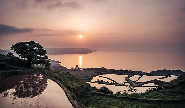 夕日を映し出す棚田