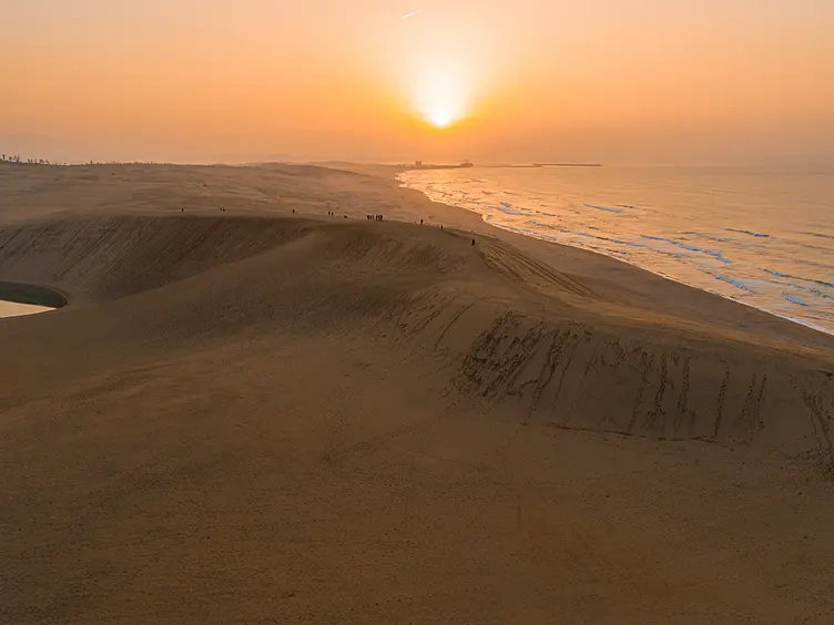夕日に照れされた鳥取砂丘
