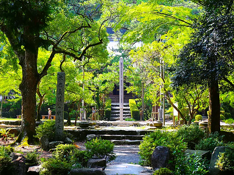 新緑につつまれる古刹 大寧寺