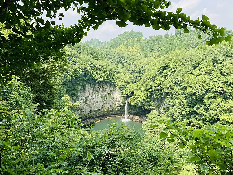 夏、緑、森林、滝
