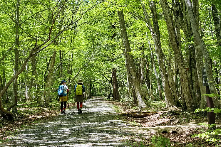 広大な園内を散策