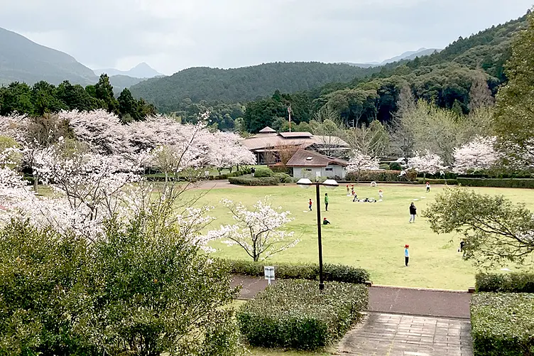 ロザ・モタ広場