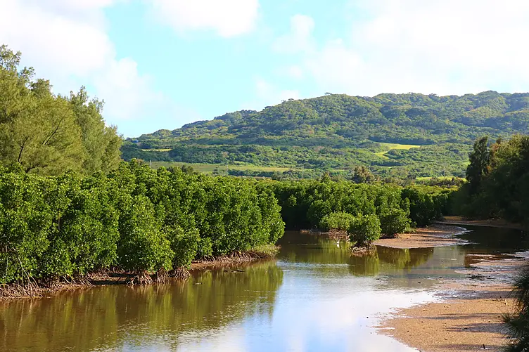 名蔵（なぐら）アンパル