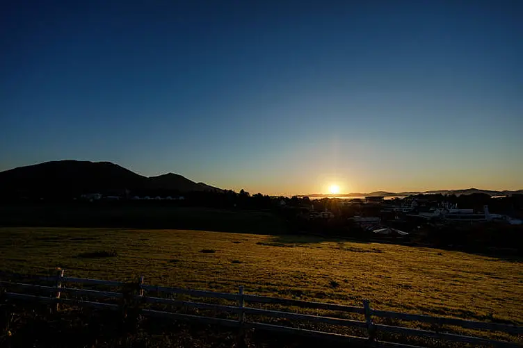 夕暮れ時の牧草地
