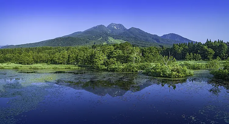 緑が美しい山々と池