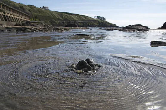 釜磯海岸の湧水