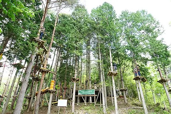 ツリートレッキング