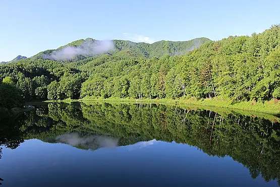 森に囲まれた湖