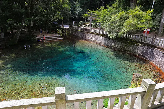 水が透き通った別府弁天池