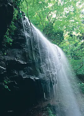 滝から流れ落ちる清水