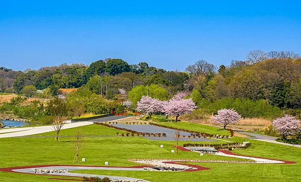 春の公園風景