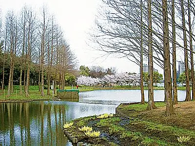 公園内風景