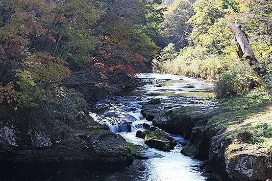 菊の滝