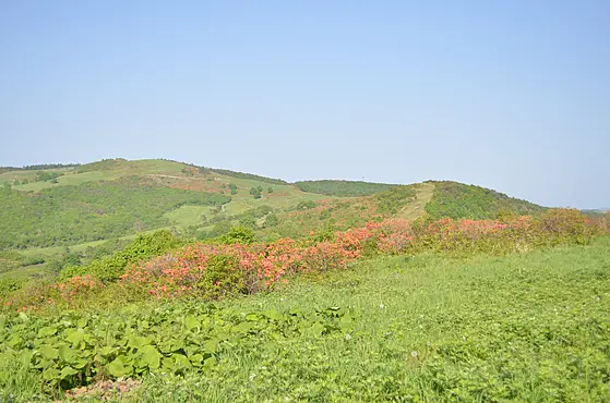 種山高原