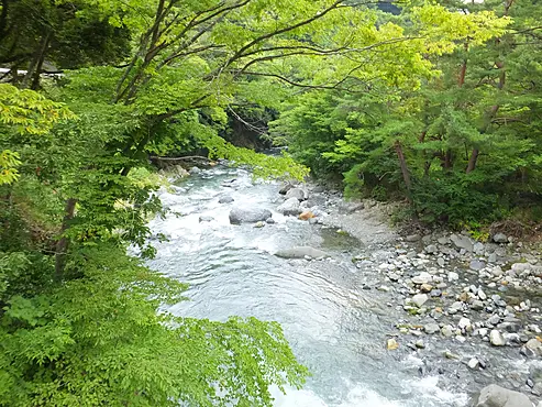 新緑のなかを流れる清流
